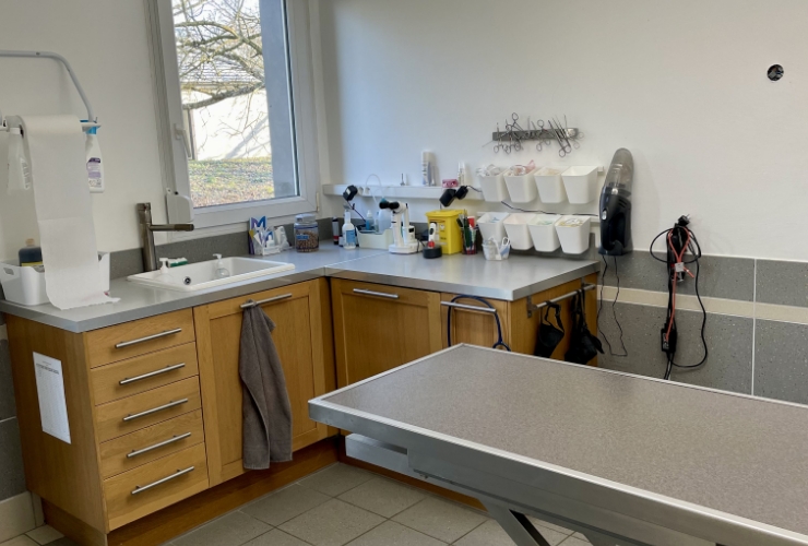 Clinique vétérinaire des 3 Rivières - Soins